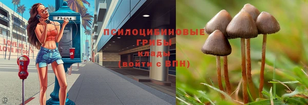 jwh Осинники