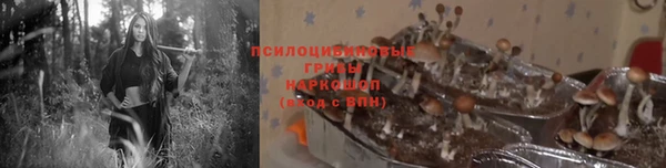 гашиш Осташков