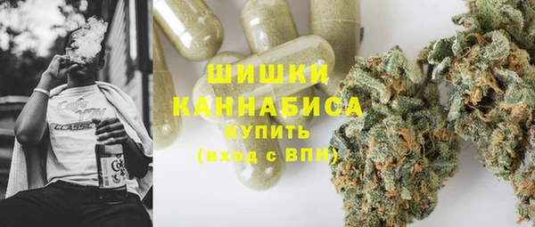дурь Сатка