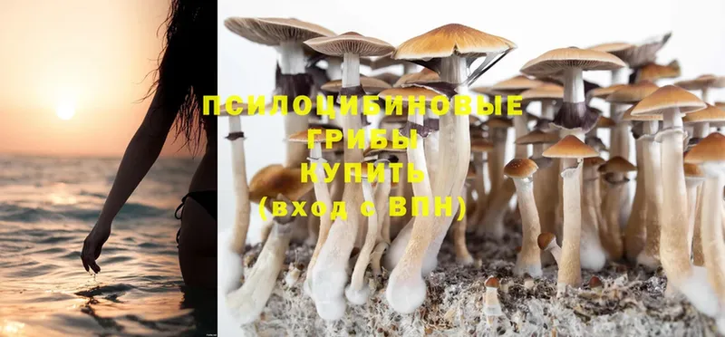 Галлюциногенные грибы MAGIC MUSHROOMS  Апшеронск 