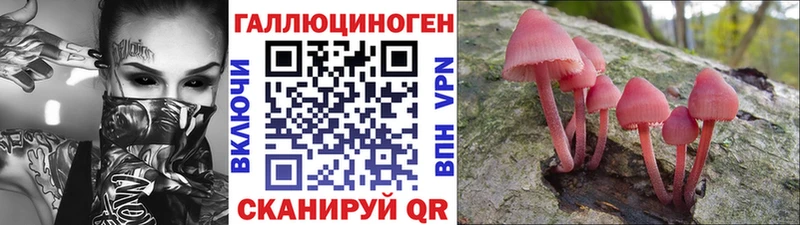 Псилоцибиновые грибы Magic Shrooms  Апшеронск 