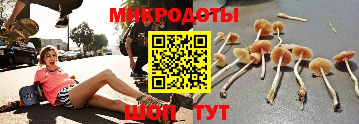 Апшеронск  Галлюциногенные грибы Cubensis  дарнет шоп  Вход с VPN  Псилоцибиновые грибы Psilocybine cubensis 