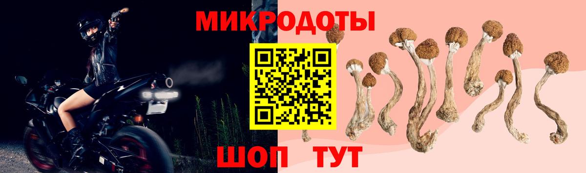 Галлюциногенные грибы ЛСД Апшеронск